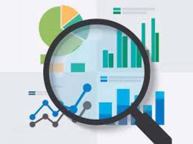 Jasa Survei Kuantitatif: Solusi Data Nyata untuk Keputusan Bisnis