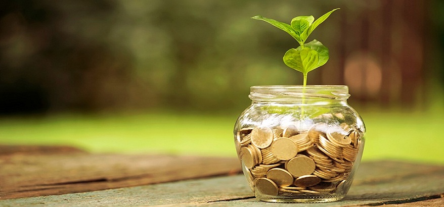 Karena Menabung Saja Belum Cukup, Berikut Tips Memulai Investasi Masa Depan