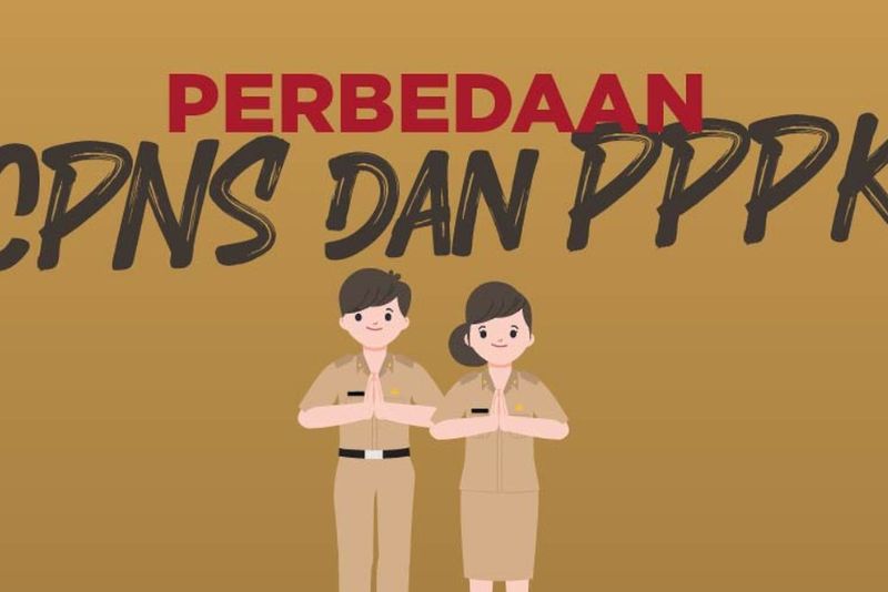 Perbedaan CPNS dan PPPK di Mata Masyarakat: Survei dan Fakta Menarik